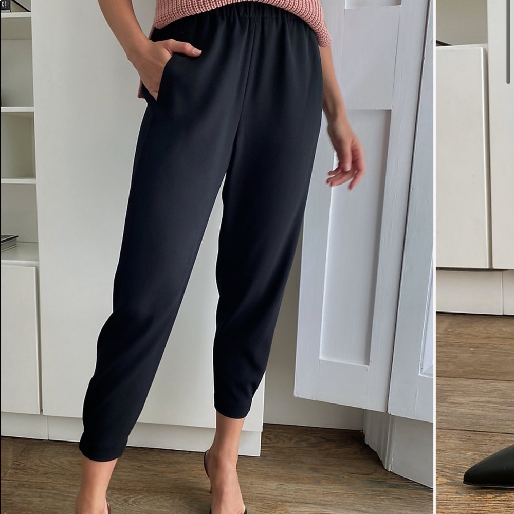 Aritzia Dexter Pant